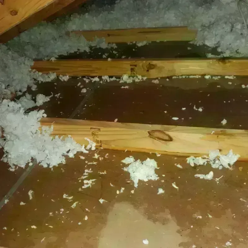 Attic Water Damage in Nevada, MO