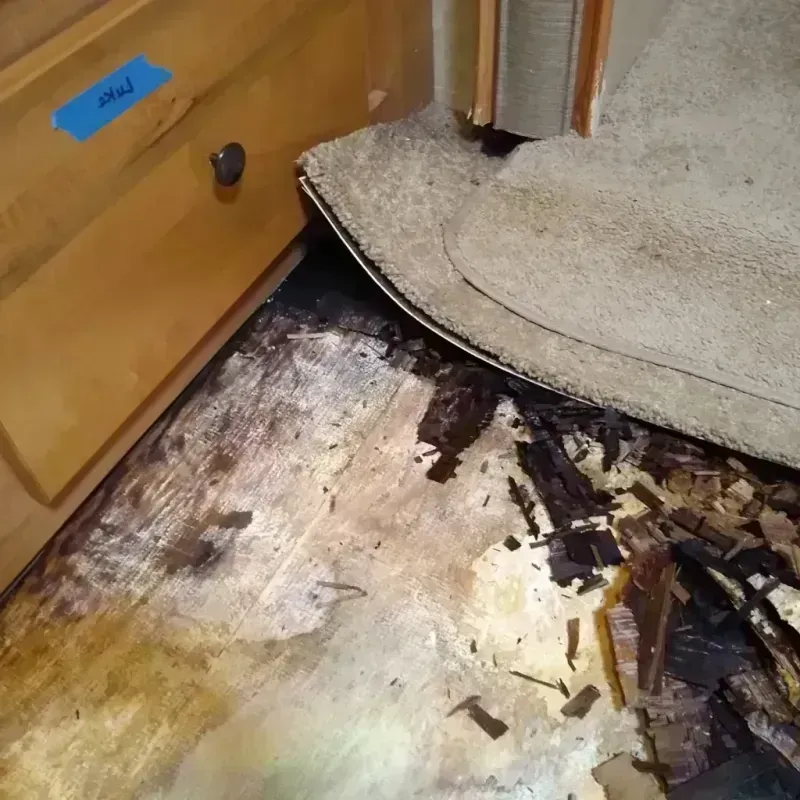 Wood Floor Water Damage in Nevada, MO